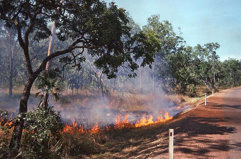 WT 0400 100-09 Australia.jpg